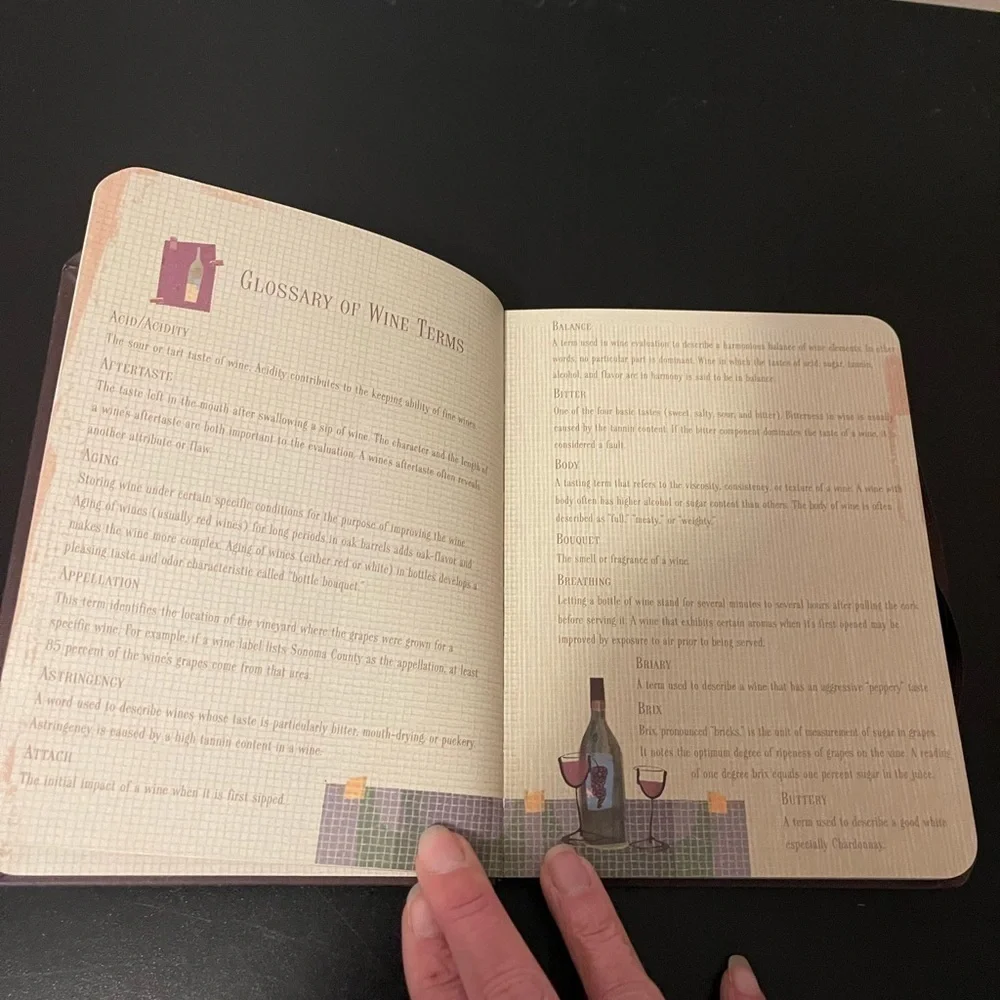 Nwt Pier 1 Wine Journal